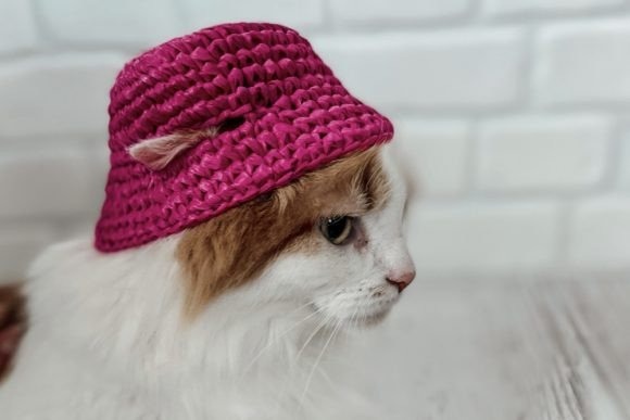 Pets Pink Bucket Hat Crochet Pattern — crochet bucket hat patterns Crochet bucket hat for a cat in pink color. — crochet bucket hat patterns